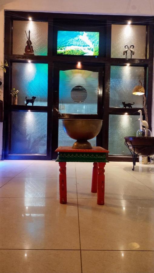 Rangbaari Stays & Cafe 焦特布尔 外观 照片