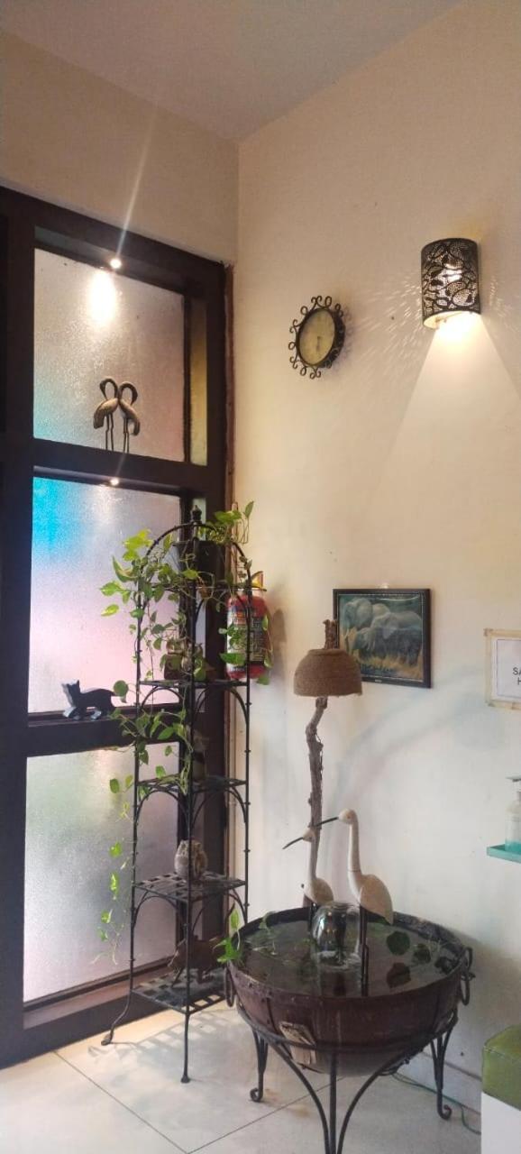 Rangbaari Stays & Cafe 焦特布尔 外观 照片