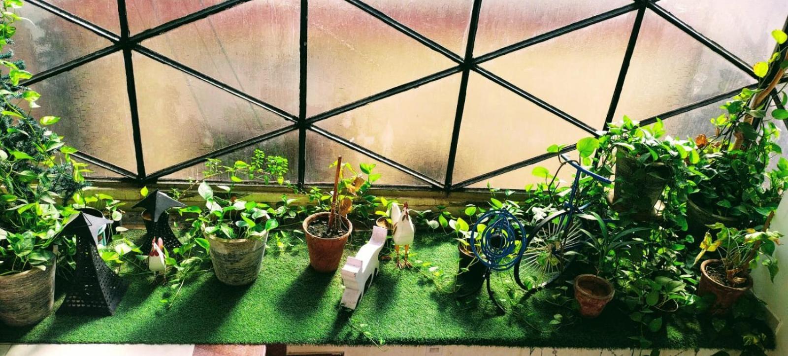 Rangbaari Stays & Cafe 焦特布尔 外观 照片